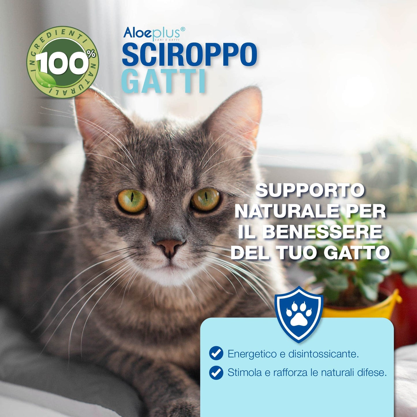 AloePlus Sciroppo per Gatti 100 ml