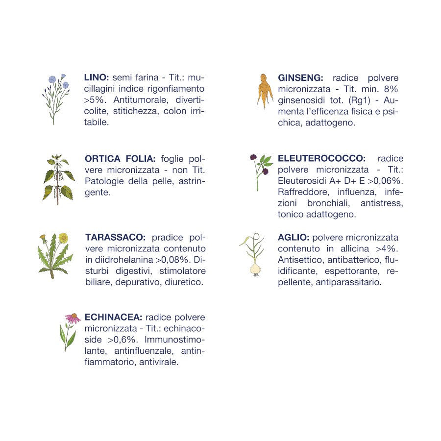 Vetline Adulti Bufalo 12,5 kg