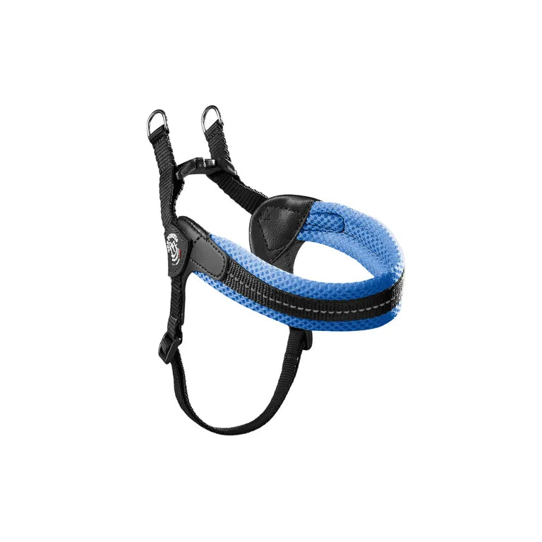 Tre Ponti Pettorina in Rete tg.2