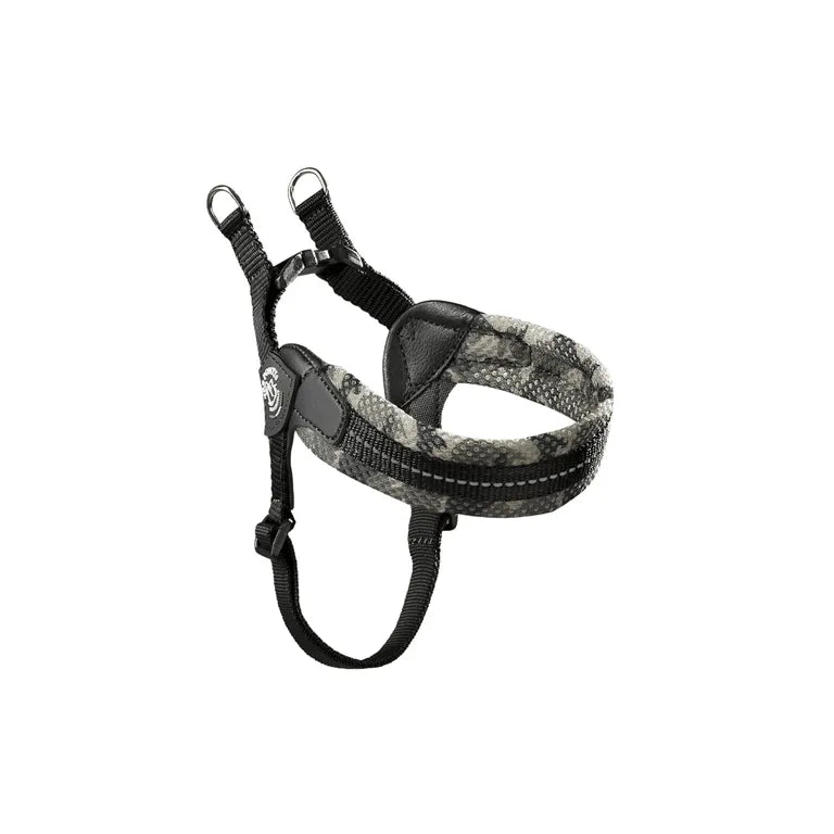 Tre Ponti Pettorina in Rete tg.1,5