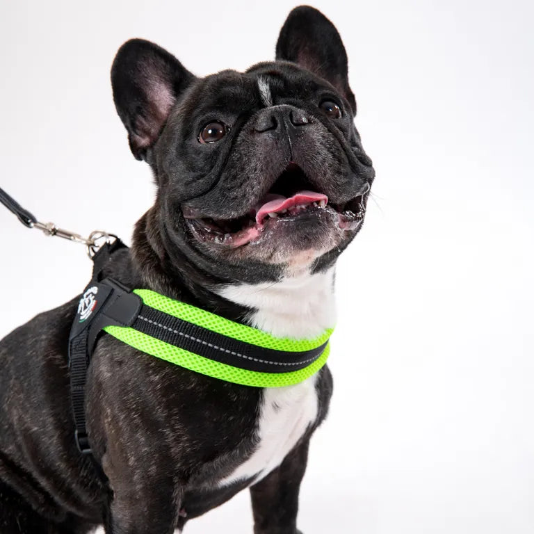 Tre Ponti Pettorina in Rete tg.2,5