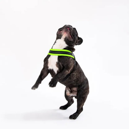 Tre Ponti Pettorina in Rete tg.2,5