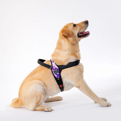 Tre Ponti Pettorale Nera M 10-20 kg