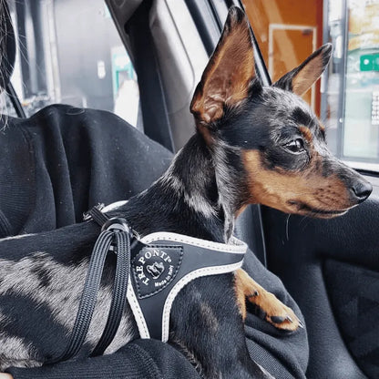 Tre Ponti pettorina Con Laccio Tg.1 1/2