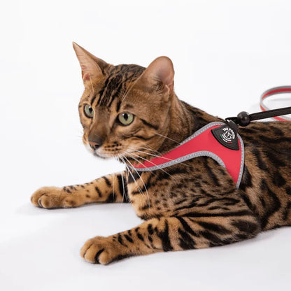 Tre Ponti pettorina Con Laccio Tg.1 1/2