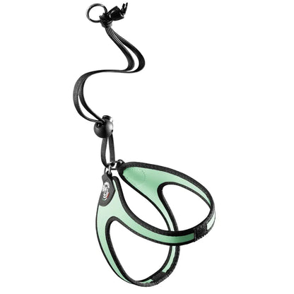 Tre Ponti pettorina Con Laccio Tg.1