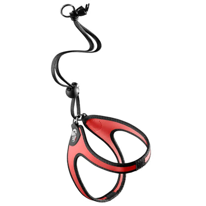 Tre Ponti pettorina Con Laccio Tg.1