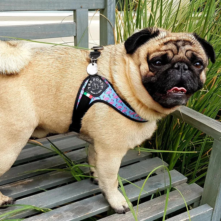 Tre Ponti Pettorina Easy Fit Tg.3