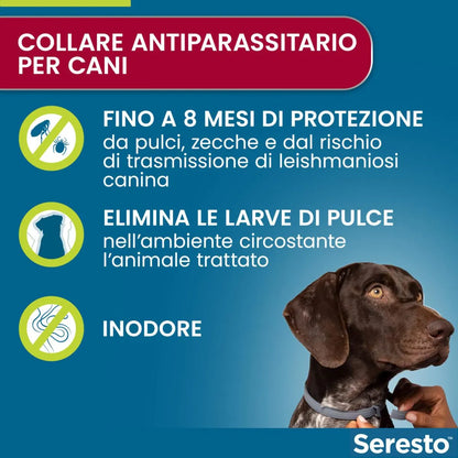 Seresto Collare Antiparassitario Cane > 8 kg