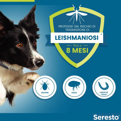 Seresto Collare Antiparassitario Cane > 8 kg