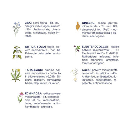 Vet Line Grain Free Adulti Anatra 800 gr