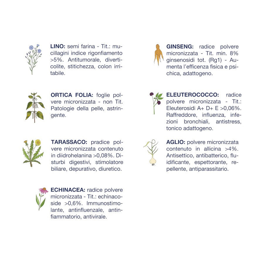 Vet Line Adulti Pesce Taglia Piccola 3 kg