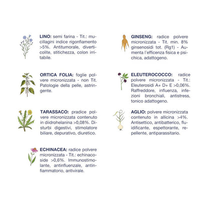 Vet Line Adulti Pesce Taglia Piccola 3 kg