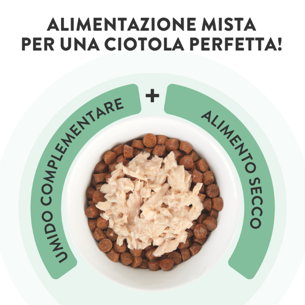 Schesir Bustine Tonnetto con Nasello 70 gr