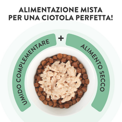 Schesir Bustine Tonnetto con Nasello 70 gr