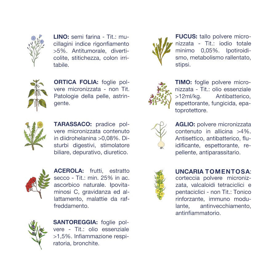 Vet Line Salute Taglia Piccola Pesce 800 gr