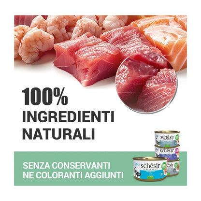 Schesir Scatolette Pollo con Spigola 70 gr