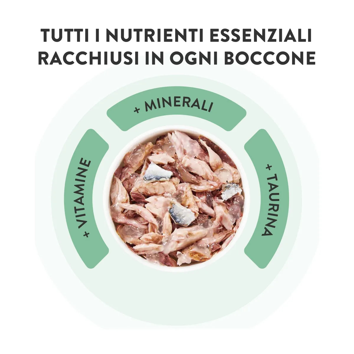 Schesir Scatolette Pollo con Spigola 70 gr