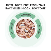 Schesir Scatolette Pollo con Spigola 70 gr