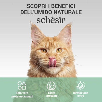 Schesir Scatolette Pollo con Spigola 70 gr